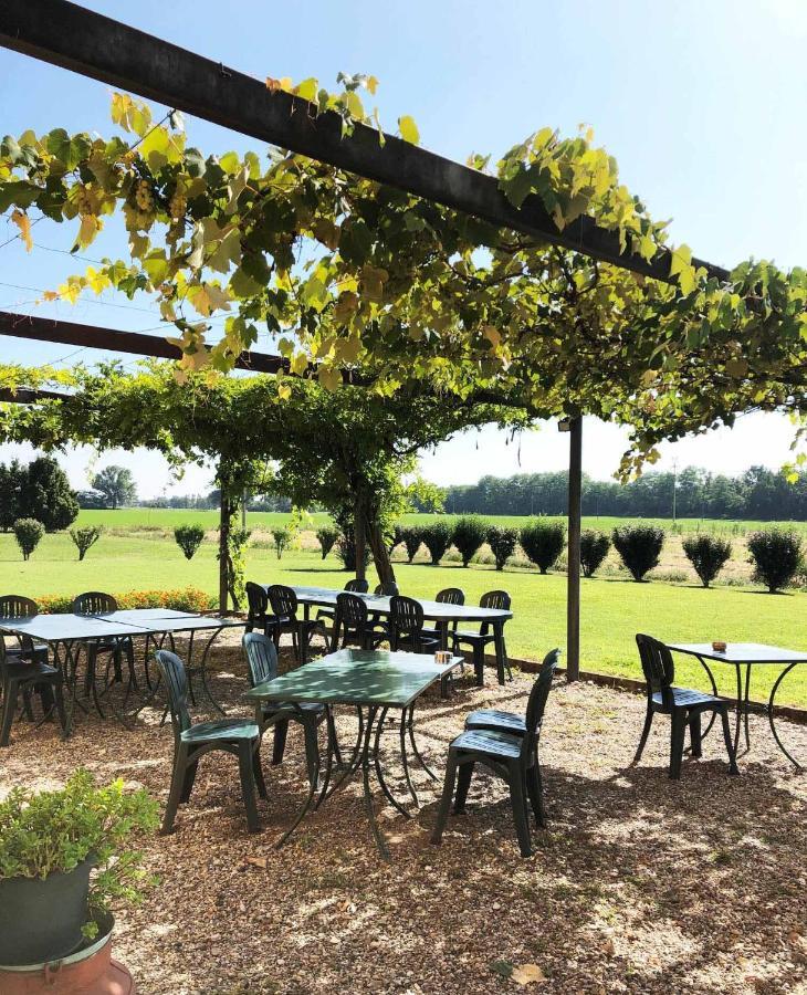 Agriturismo Le Colombaie Busseto Exterior photo